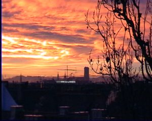 sonnenaufgangbild-Tierheilpraxis-München